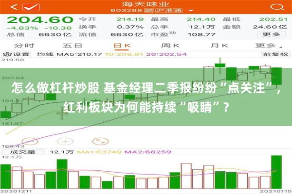 怎么做杠杆炒股 基金经理二季报纷纷“点关注”，红利板块为何能持续“吸睛”？