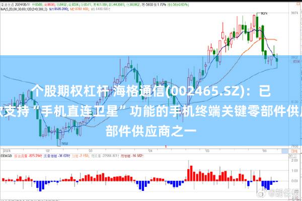 个股期权杠杆 海格通信(002465.SZ)：已成为多款支持“手机直连卫星”功能的手机终端关键零部件供应商之一