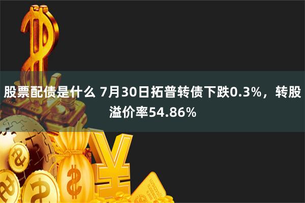 股票配债是什么 7月30日拓普转债下跌0.3%，转股溢价率54.86%