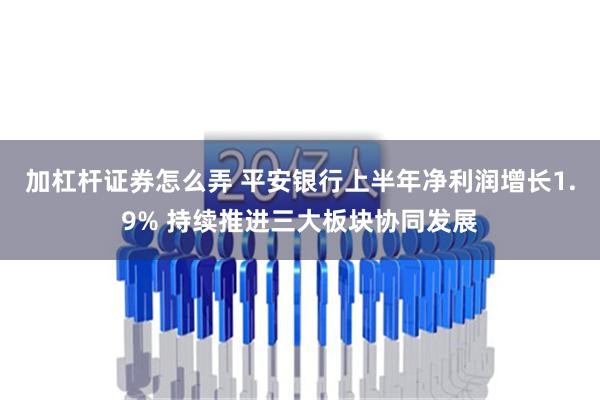 加杠杆证券怎么弄 平安银行上半年净利润增长1.9% 持续推进三大板块协同发展