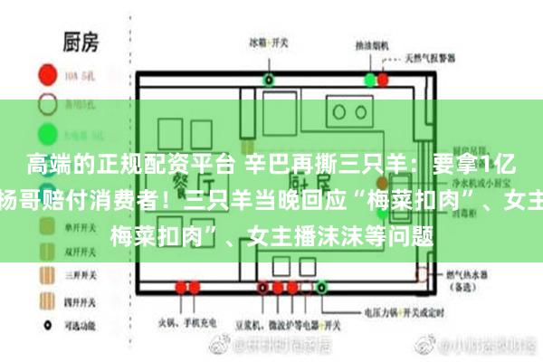 高端的正规配资平台 辛巴再撕三只羊：要拿1亿元现金，替小杨哥赔付消费者！三只羊当晚回应“梅菜扣肉”、女主播沫沫等问题