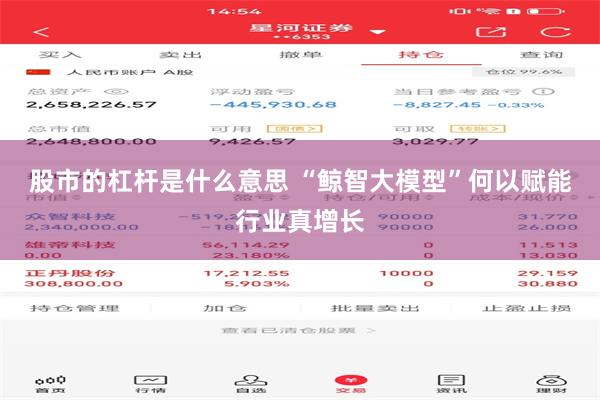 股市的杠杆是什么意思 “鲸智大模型”何以赋能行业真增长