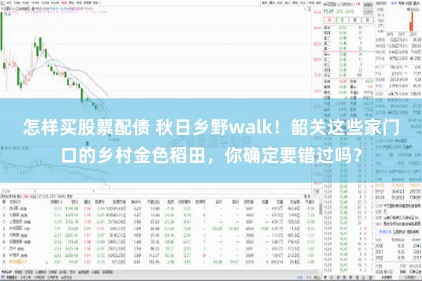 怎样买股票配债 秋日乡野walk！韶关这些家门口的乡村金色稻田，你确定要错过吗？