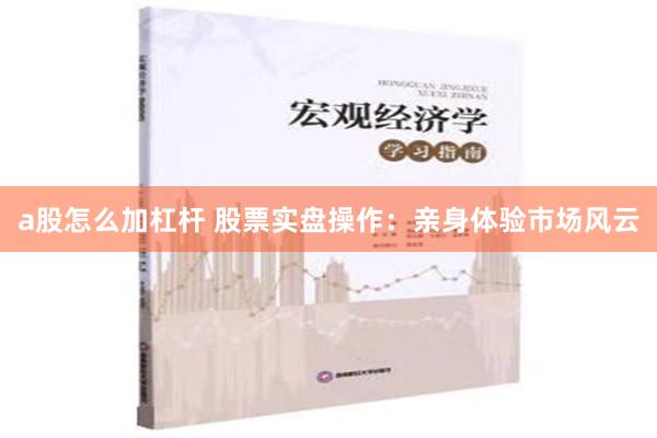 a股怎么加杠杆 股票实盘操作：亲身体验市场风云