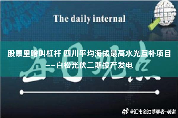 股票里啥叫杠杆 四川平均海拔最高水光互补项目——白松光伏二期投产发电