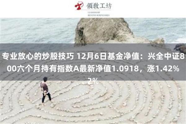 专业放心的炒股技巧 12月6日基金净值：兴全中证800六个月持有指数A最新净值1.0918，涨1.42%