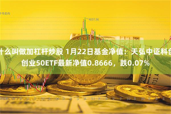 什么叫做加杠杆炒股 1月22日基金净值：天弘中证科创创业50ETF最新净值0.8666，跌0.07%