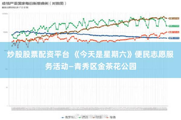 炒股股票配资平台 《今天是星期六》便民志愿服务活动—青秀区金茶花公园