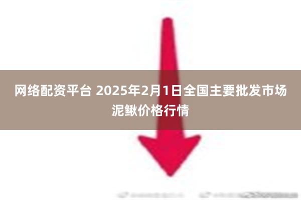 网络配资平台 2025年2月1日全国主要批发市场泥鳅价格行情